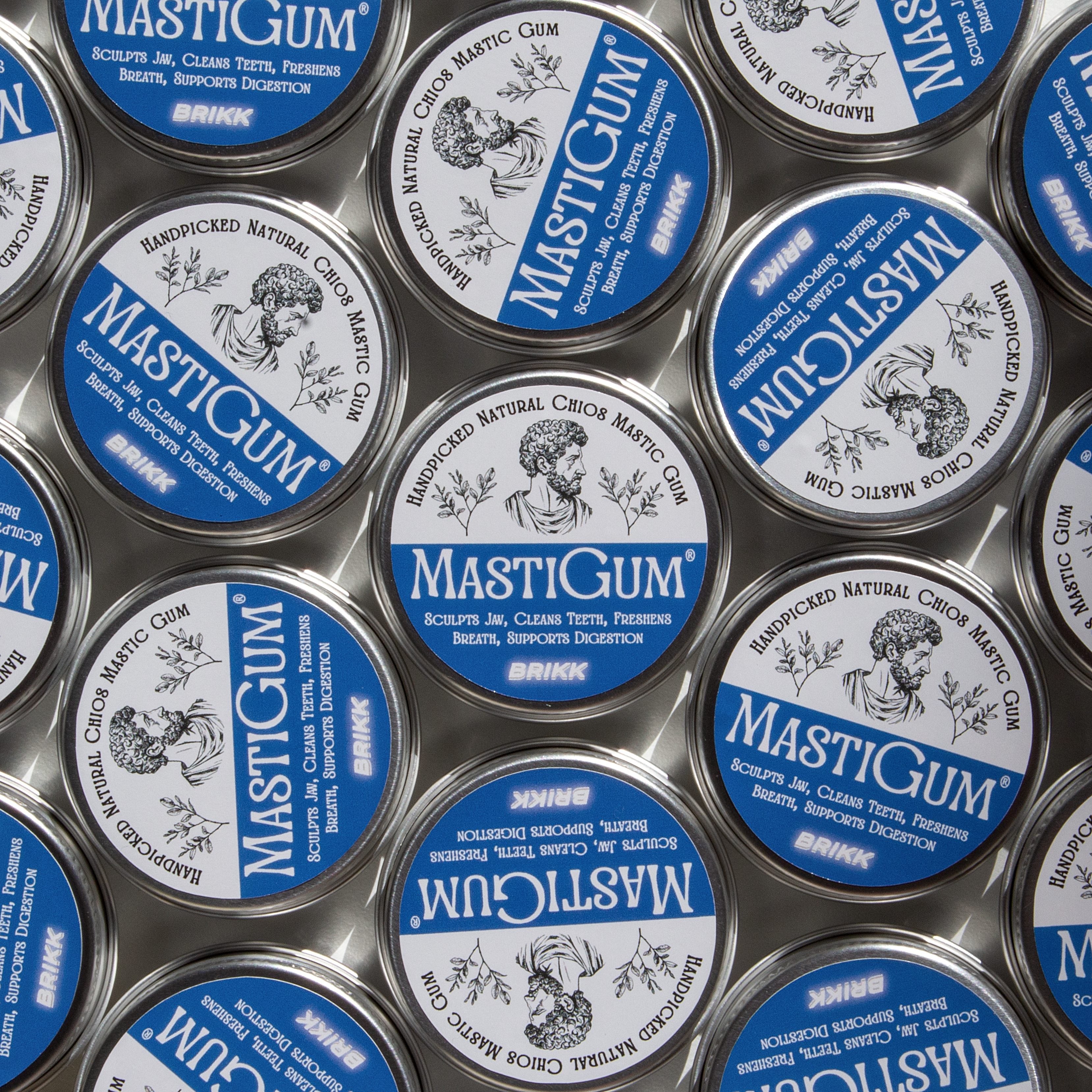 BRIKK MastiGum®