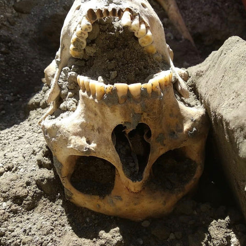 Lebka z Pompejí s výrazne vyvinutou čeľusťou